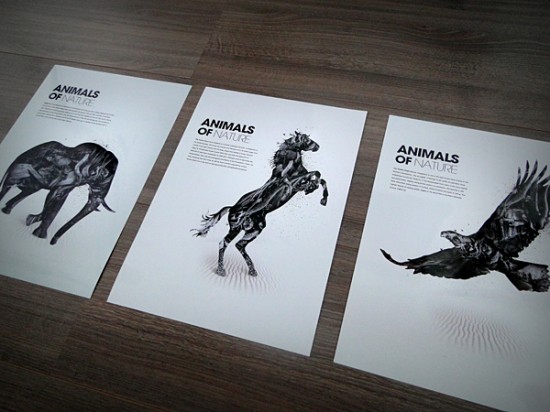 The animals of nature, project by Patrick Monkel
