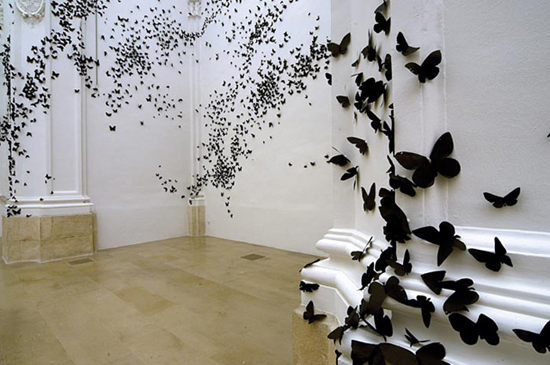 30,000 swarming paper moths consume gallery walls