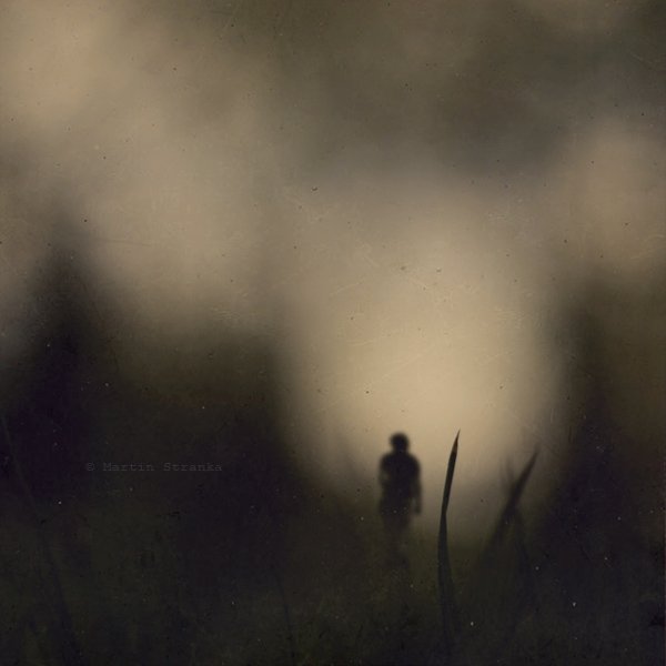 ���� ���� ������ �� ���� ������