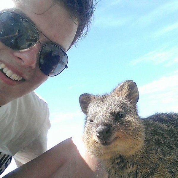 Quokka selfie, cutest trend in Australia right now