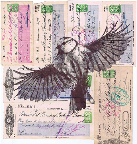 Bic biro bird drawing collection by Mark Powell