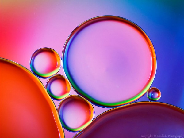 Linda photography: "I use oil and water to photograph abstract drops"