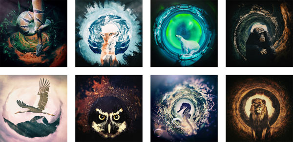 The Wild Iris, digital art, Sedki Alimam, art direction, digital art, retouching, animals, wild, iris, lion, snake, owl, polar bear, onkey, fox, process