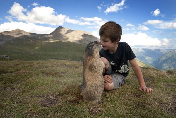 Matteo, a young Austrian boy enjoys a special friendship with shy marmots