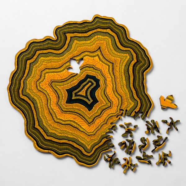 Computer-generated jigsaw puzzles based on geological forms