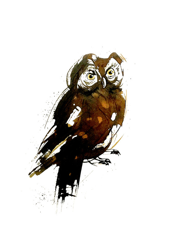 Animal Ink series, illustration by Shraddha Mandale