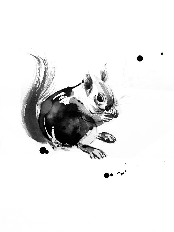 Animal Ink series, illustration by Shraddha Mandale
