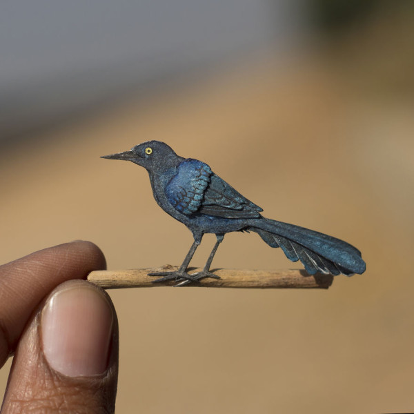 Miniature birds, paper art by Nayan & Vaishali