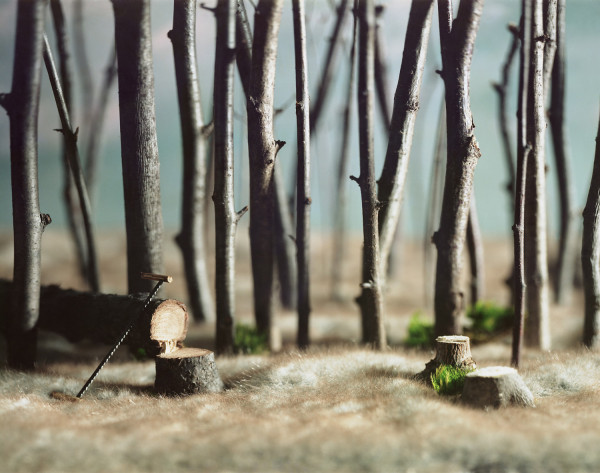Miniature landscapes by Areca Roe