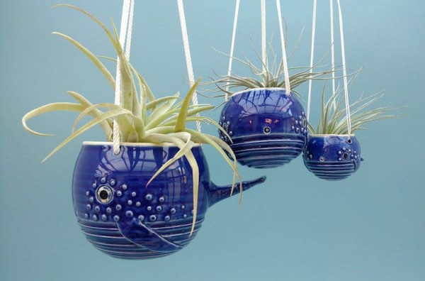 Playful pots turn air plants into adorable ocean creatures