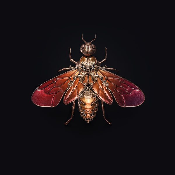 Jewel insects, jewelry design by Sasha Vinogradova