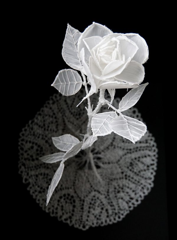 White Rose, fine art by Van Lieshout VI