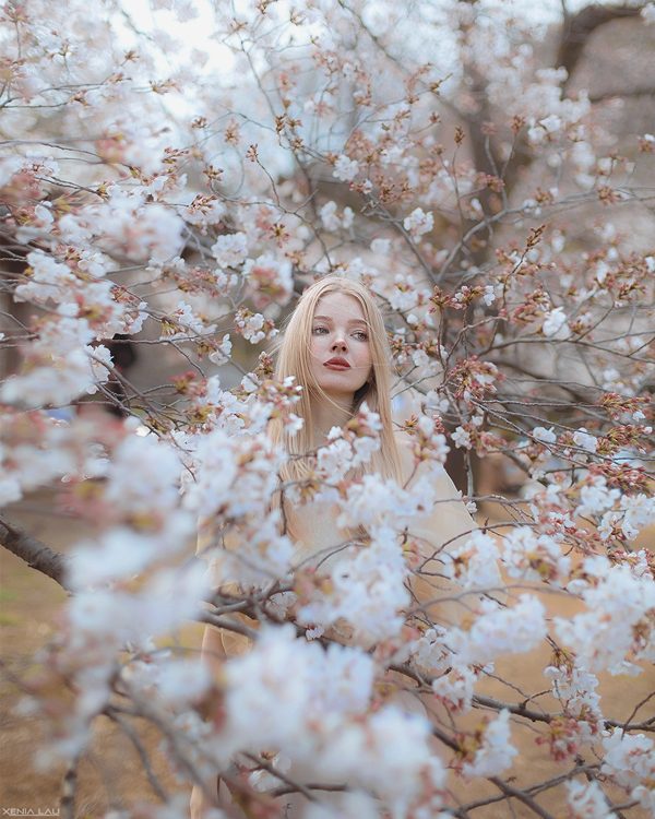 Spring in Tokyo, photography by Xenia Lau