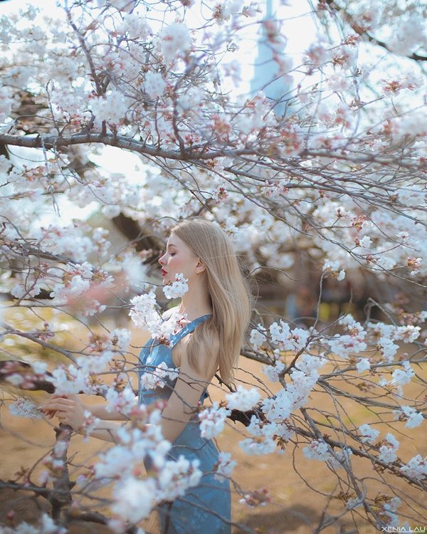 Spring in Tokyo, photography by Xenia Lau