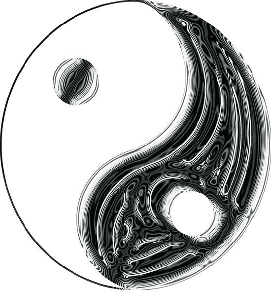 Inseparable, Yin and Yang by Attila Brushvox