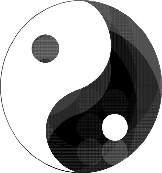 Inseparable, Yin and Yang by Attila Brushvox