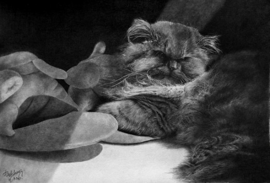 Astonishing pencil drawings by Paul Lung