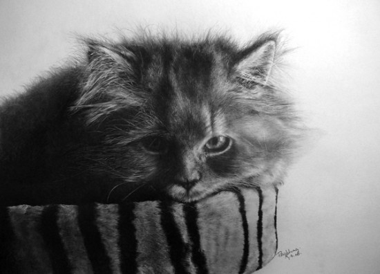 Astonishing pencil drawings by Paul Lung