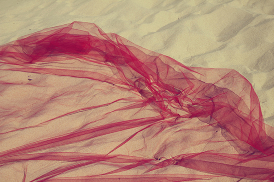 The Red Tulle by Yulia Gorodinski