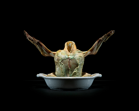 One Third, a project on food waste by Klaus Pichler