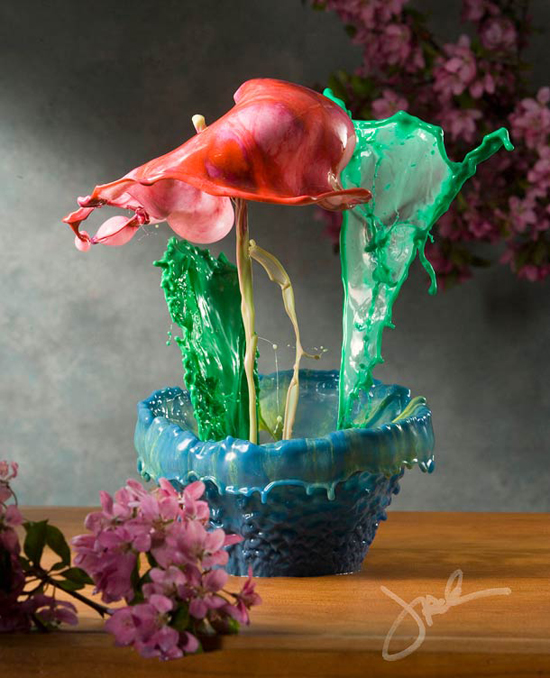 Vessels and Blooms, project by Jack Long
