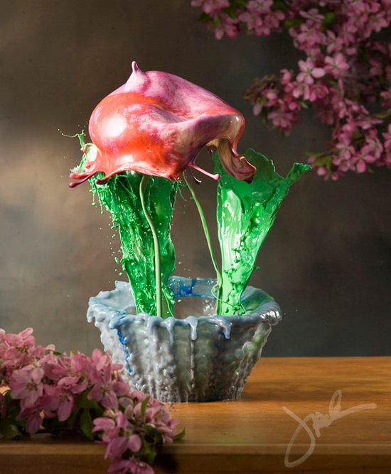 Vessels and Blooms, project by Jack Long