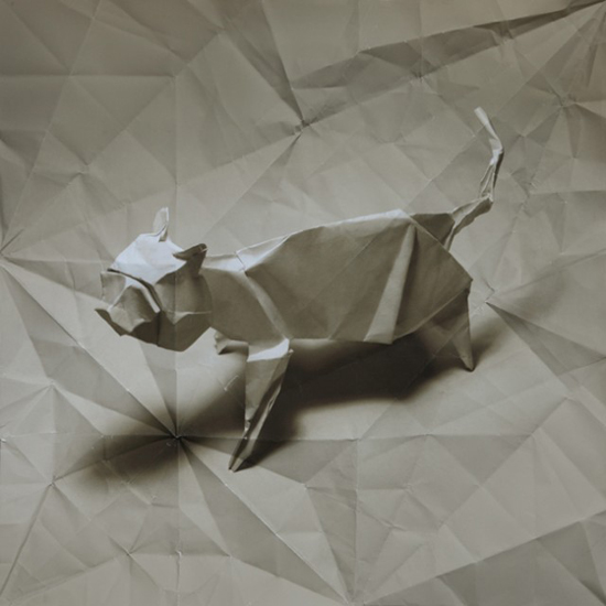 Origamis, superb series by Marc Fichou