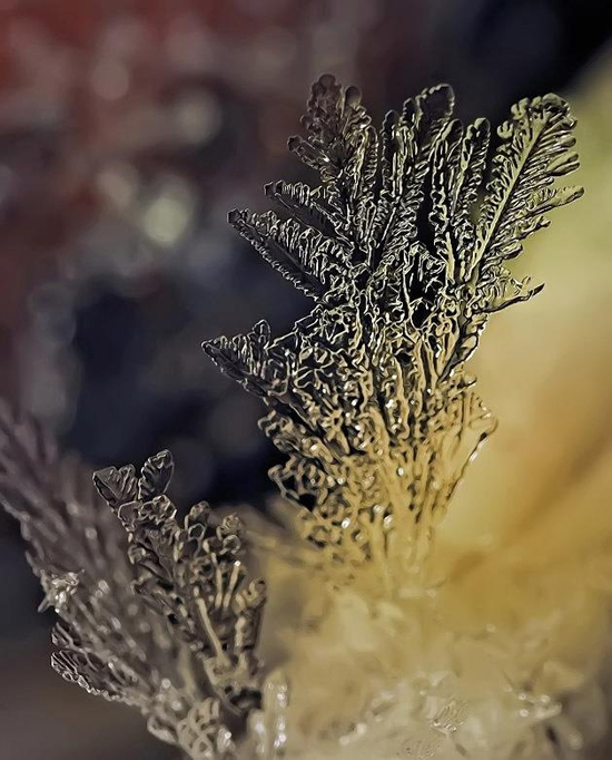 Andrew Osokin's macro photographs of snowflakes and ice formations