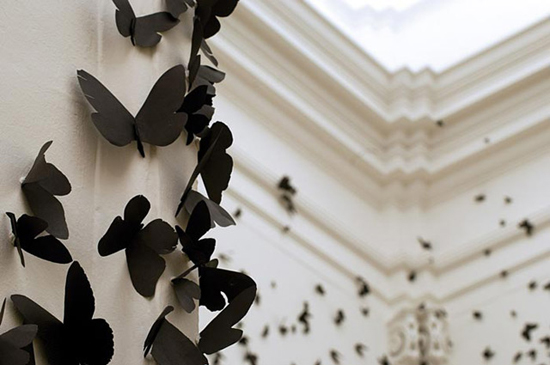 30,000 swarming paper moths consume gallery walls