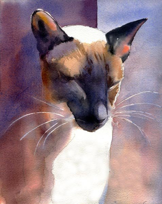 Siamese watercolor by Rachel Parker