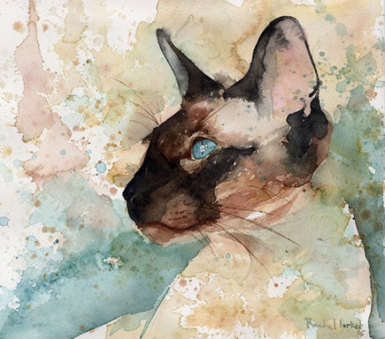 Siamese watercolor by Rachel Parker