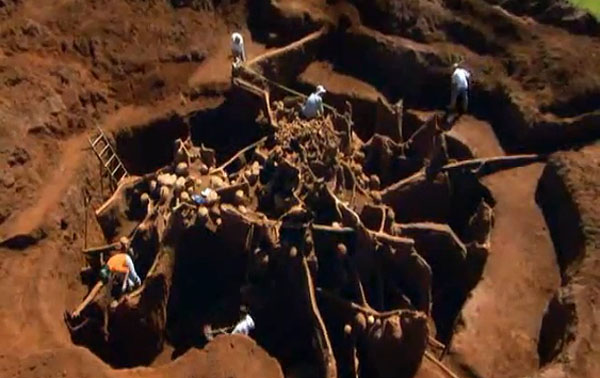 Giant Ant Colony Excavated