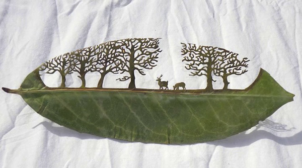 Leaf cut art by Lorenzo Manuel Durán