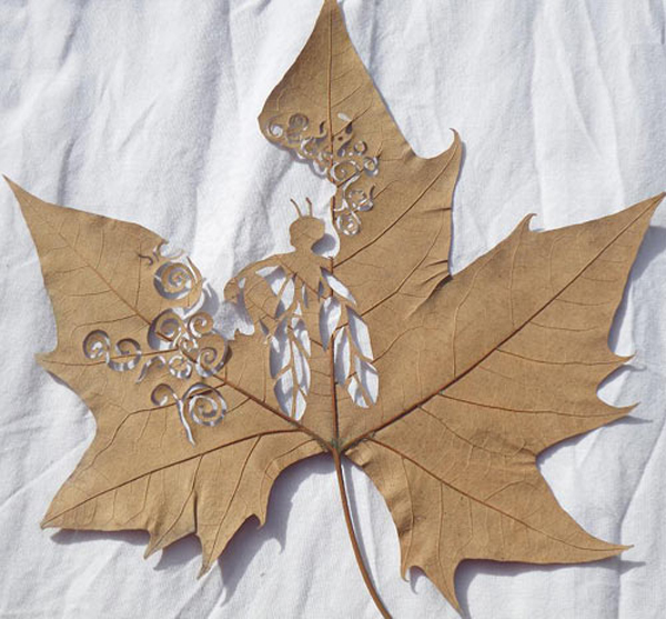 Leaf cut art by Lorenzo Manuel Durán