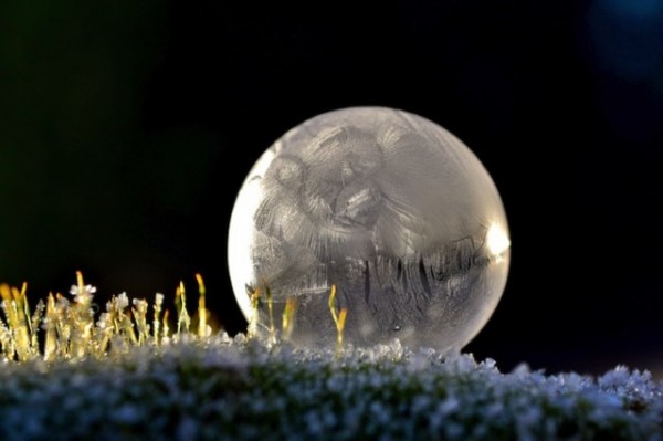Frozen Bubbles Photography by Angela Kelly