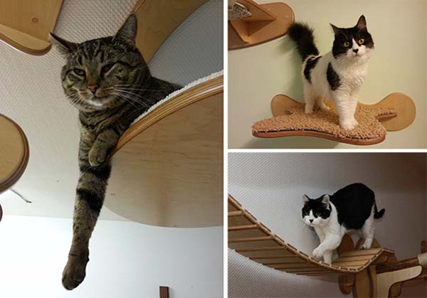 Amazing German designed cat climbing furniture
