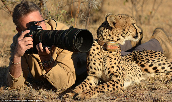 Photographer Chris Du Plessis and Mtombi the Cheetah