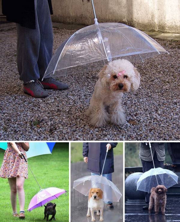 Creative umbrellas that will make your rainy day amazing
