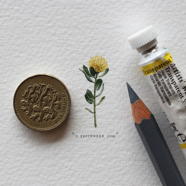 Postcards for Ants: A 365-day miniature painting by Lorraine Loots