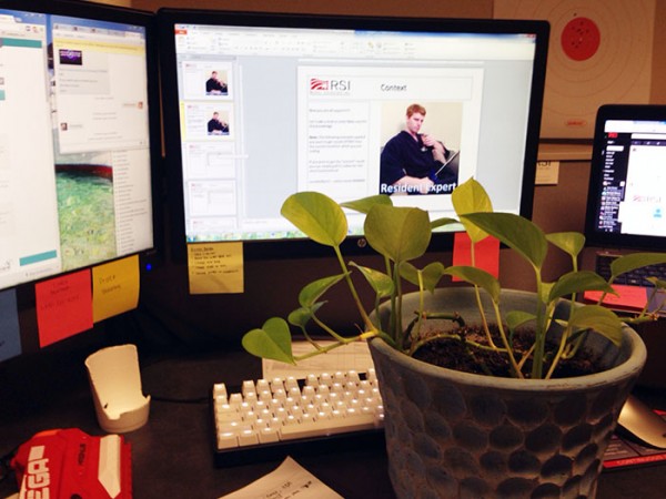 A coworker asked this guy to watch her plant for 4 days