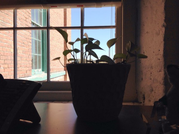 A coworker asked this guy to watch her plant for 4 days