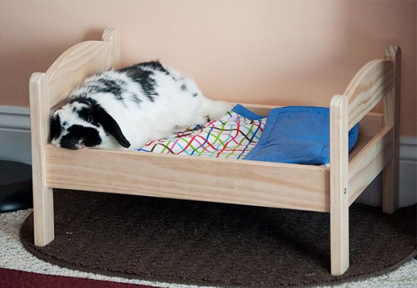 Japanese cat owners turn IKEA doll beds into adorable cat beds