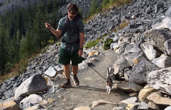 Meet Honey Bee, a rescued blind cat who loves hiking with her humans