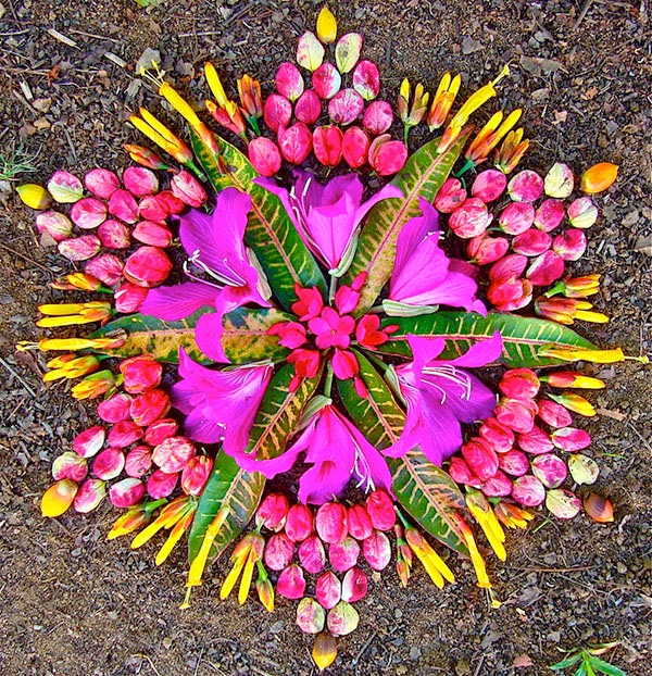 Danmala, flower mandalas by Kathy Klein