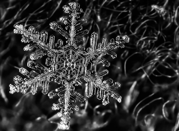 Macro snowflake photos by Josh Shackleford