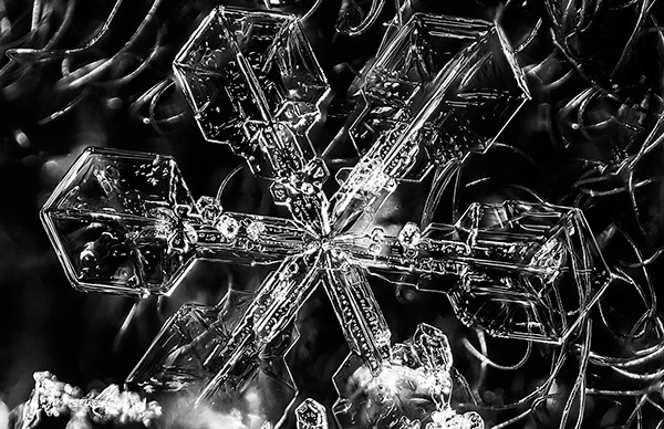 Macro snowflake photos by Josh Shackleford