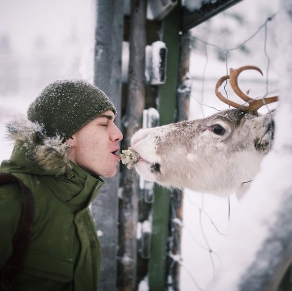 Close interactions with wildlife captured on camera by Konsta Punkka