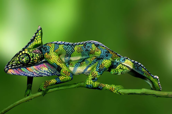 Chameleon - impressive bodypainting by Johannes Stötter