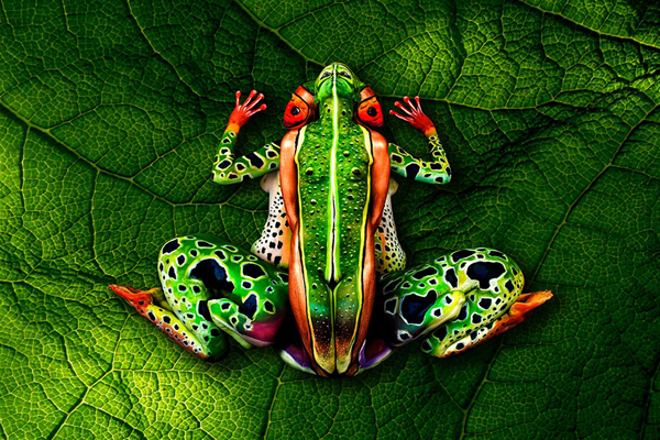 Chameleon - impressive bodypainting by Johannes Stötter
