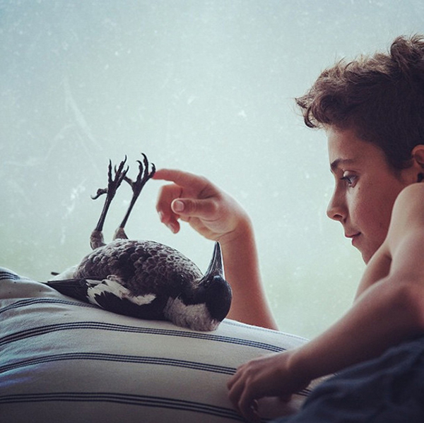 The unlikely friendship between a boy and a bird